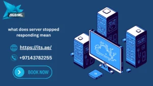 what does server stopped responding mean