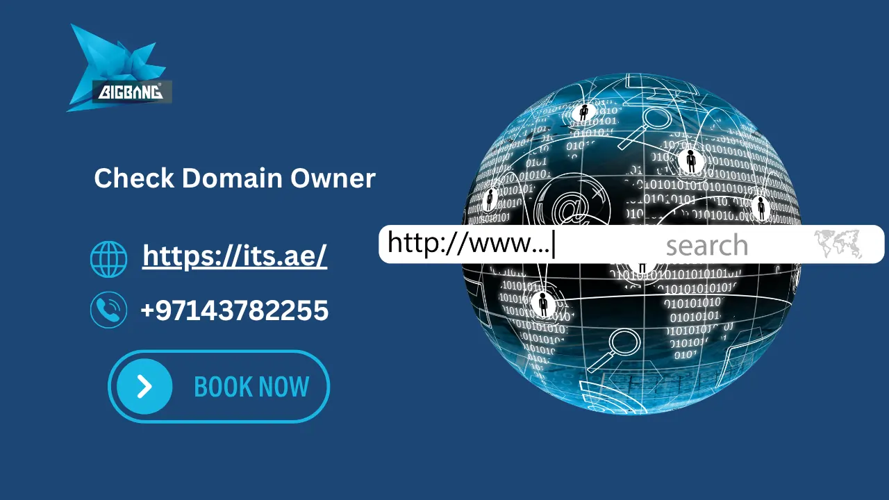 Check Domain Owner