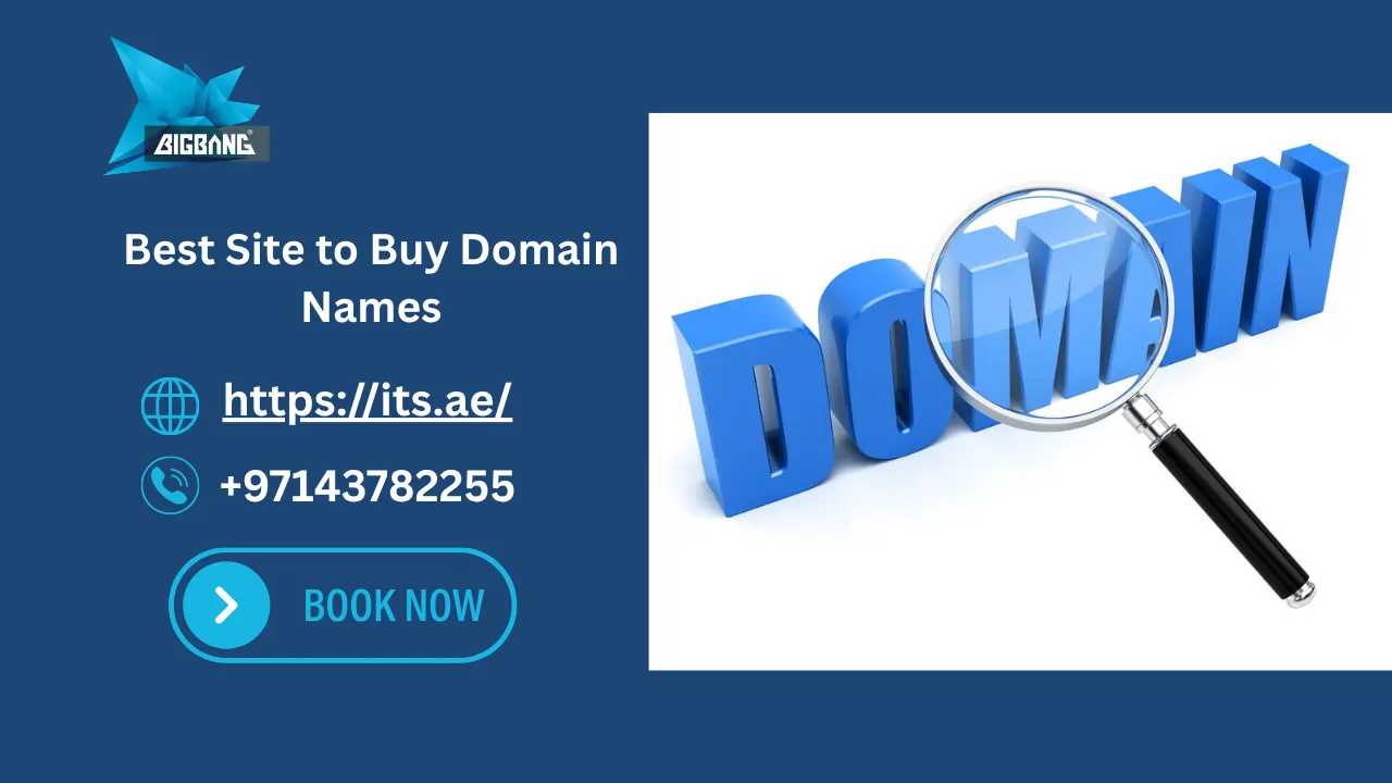 WordPress Domain Name Price